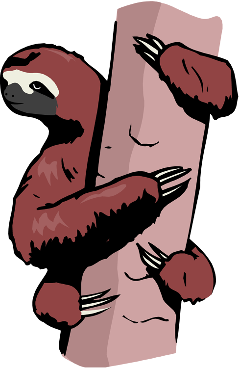 Sloth Clipart - Cartoon (488x750)