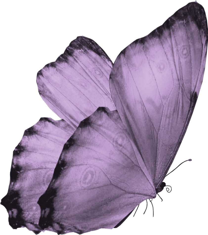 Butterfly Png By Yotoots - Butterfly Png For Photoshop (841x949)
