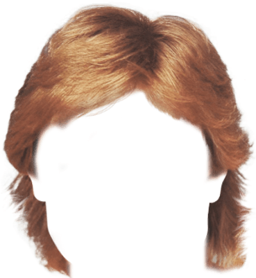 Wig Afro Poof Transparent Png Png Images - Wig Png (400x400)