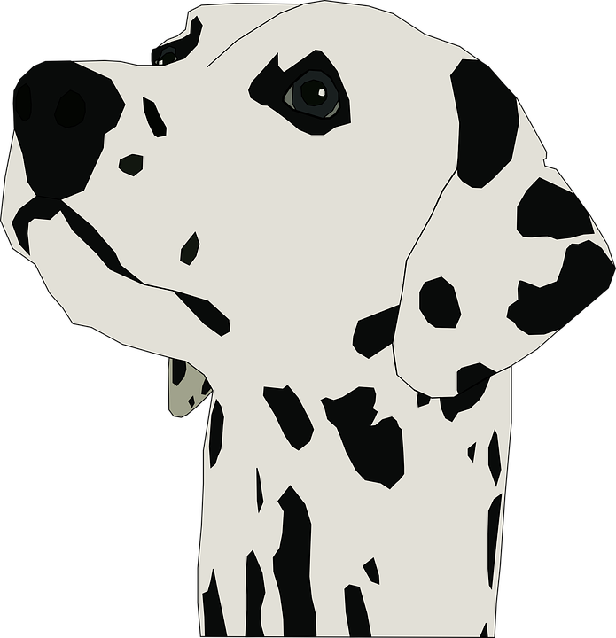 Dalmation Clipart - Dalmatian Dog Throw Blanket (695x720)