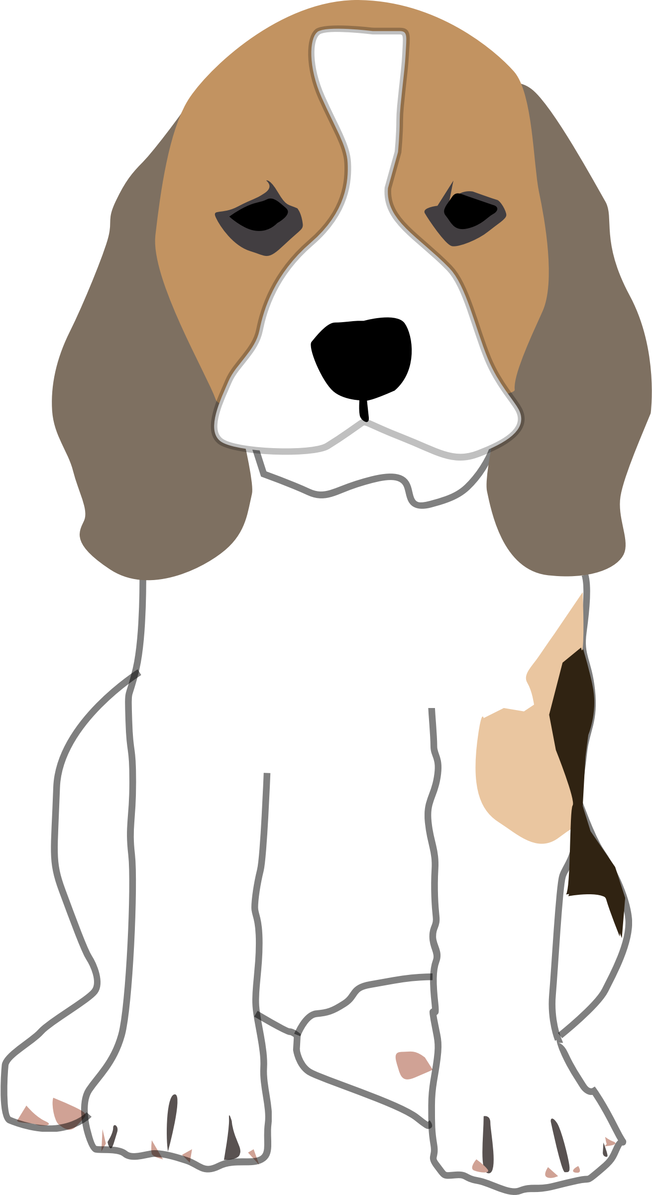 Clipart - Beagles Clip Art (1310x2400)