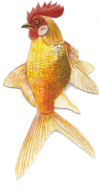 It Is A Collage Art Work Out Of Collages From More - Rooster (353x627)