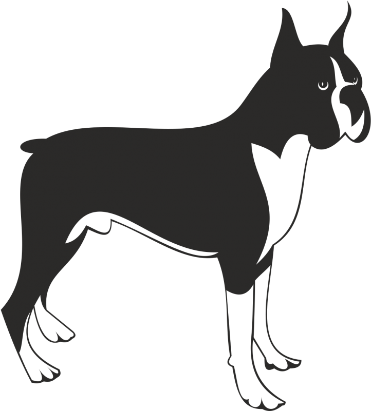 Boxer Clip Art - Boxer Clip Art (800x800)
