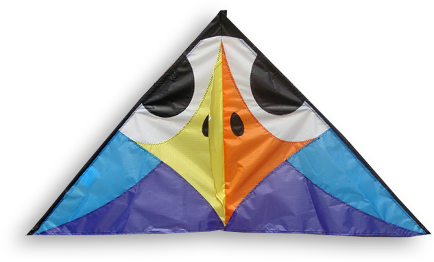 13040 Birdy Delta Bleu - Triangle (1000x703)