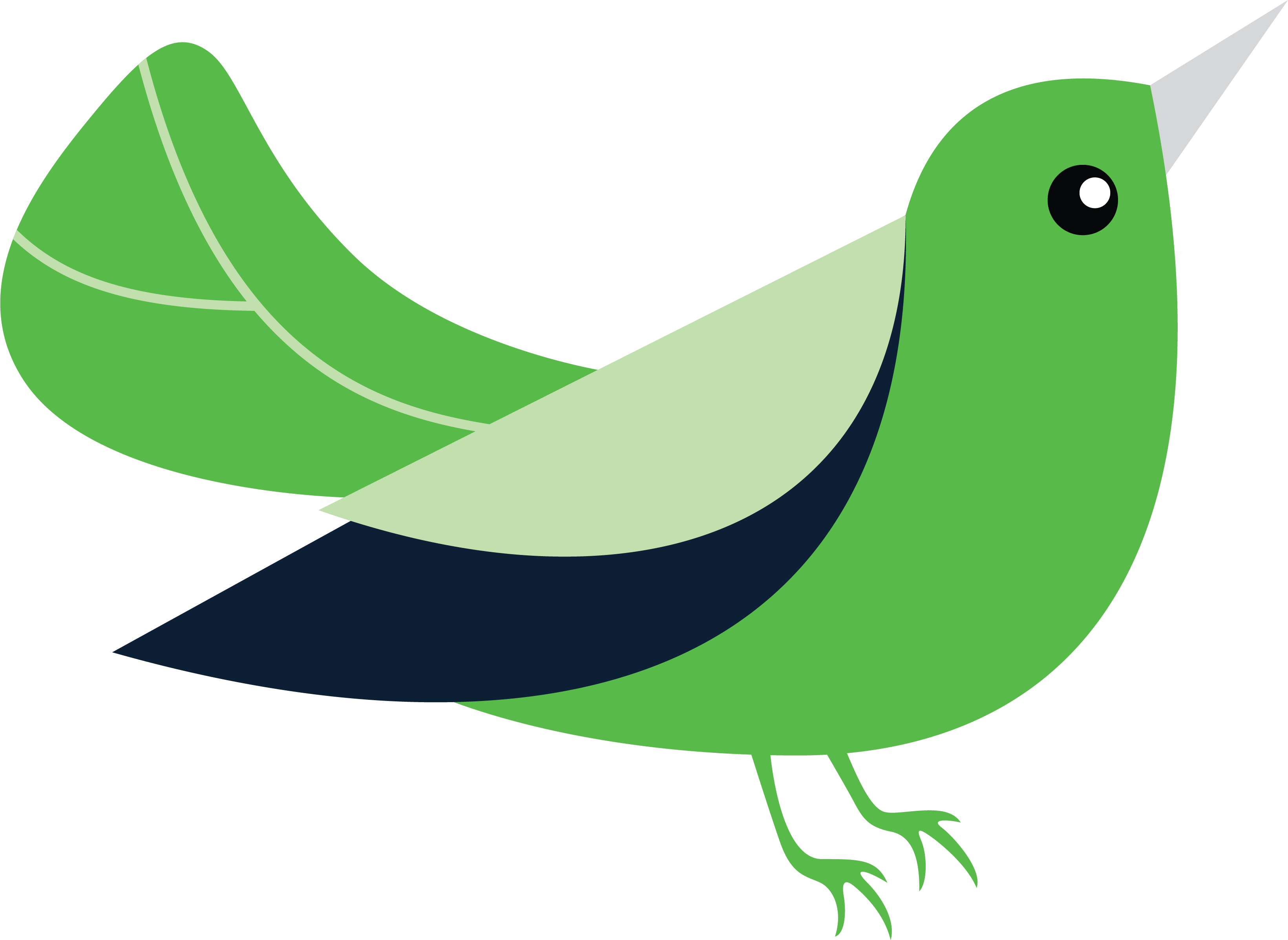 Knowledgebird Birdy Right - Workflow (3281x2395)