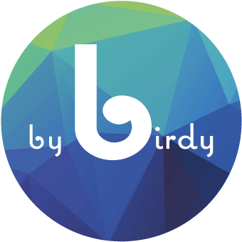 Web Design Bybirdy - Circle (512x512)