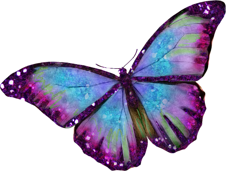 Brush-footed Butterfly (750x569)