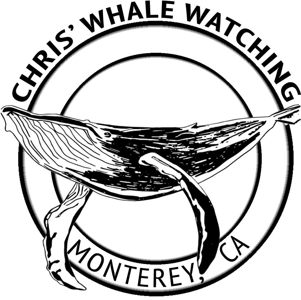 Redeem Christian Church Of God (1039x1026)