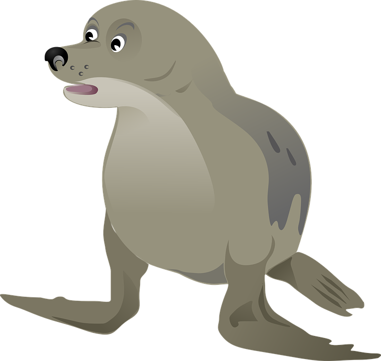 Seal Clipart Ocean - Gambar Anjing Laut Kartun (759x720)