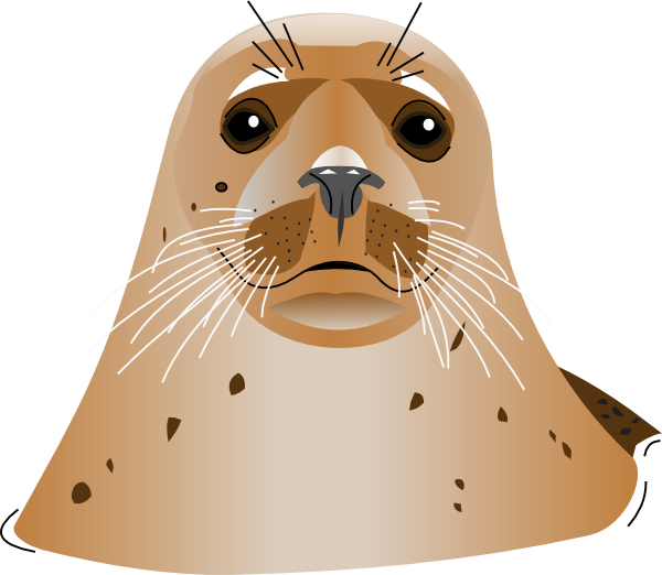Sea Lion Computer Icons Clip Art - Sea Lion Computer Icons Clip Art (600x522)