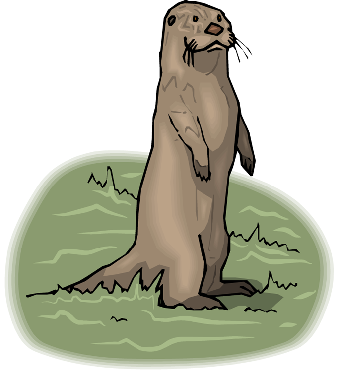 Cartoon Otter Standing (683x750)