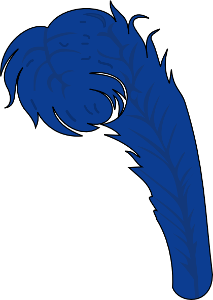 Feathers Coat Of Arms (420x593)