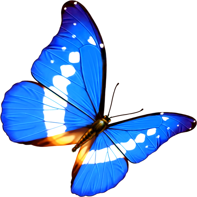 Butterfly Transparency And Translucency Android - Butterfly Transparency And Translucency Android (644x643)