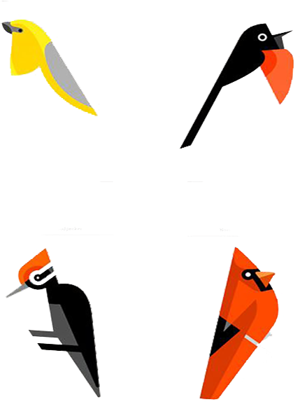 Bird Graphic Design Poster - Bird Graphic Design Poster (500x606)