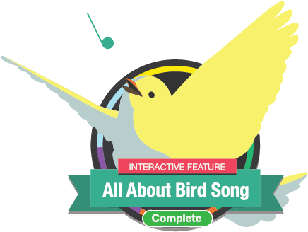 There's More To Discover At Bird Academy - Talk (500x378)