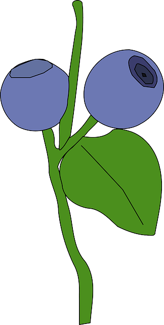 Berries, Blue, Food, Fruit, Cartoon, Plant, Berry - Berry Clip Art (324x640)