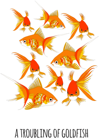 An Troubling Of Goldfish - Art (338x480)