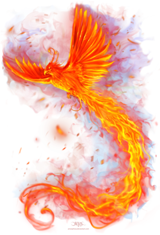 Phoenix Design Dribbble - Fire Animal Png (313x470)