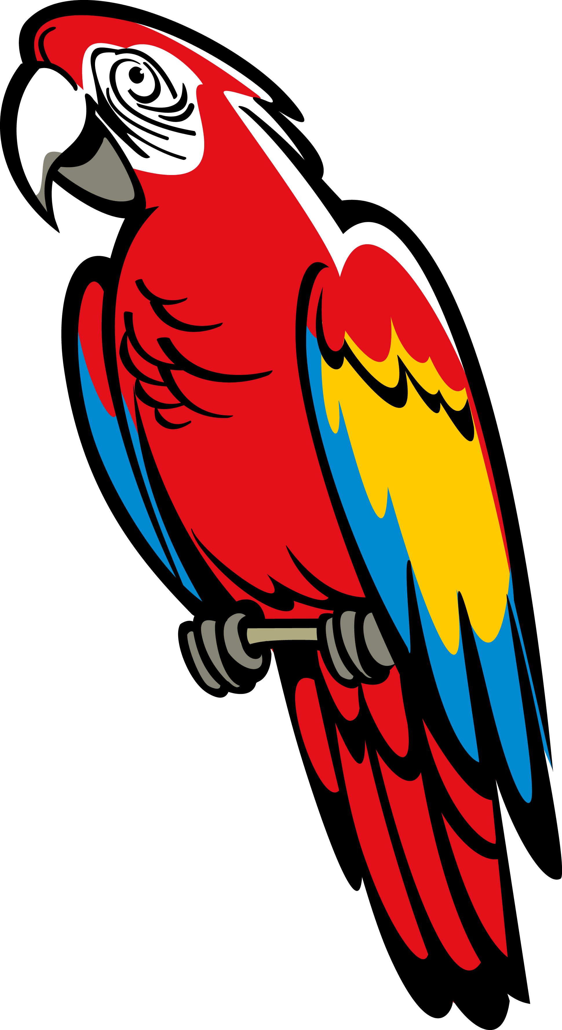 Popinjay - Parrot Coat Of Arms (1940x3555)