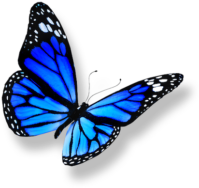 Save - Heal Breast Cancer Naturally - 7 Essential Steps (424x400)