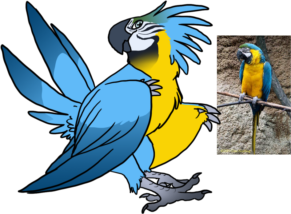 Blue And Gold Macaw Snekcihc Adopt By Dogthatkills - Blue And Gold Macaw (1024x749)