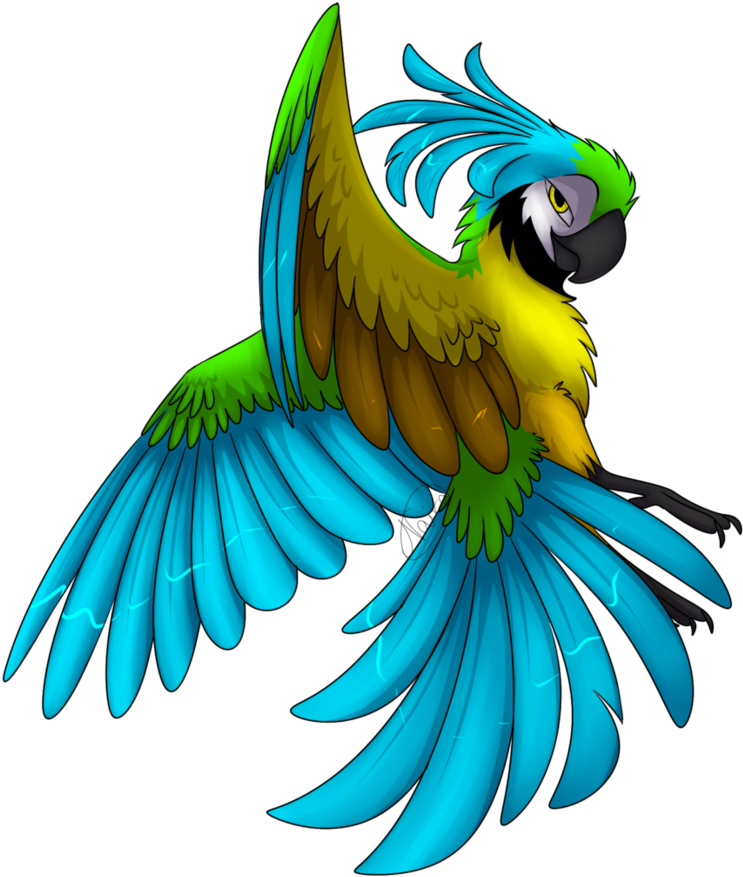 Lima Sokkien'z By Nairasanches - Macaw (891x896)