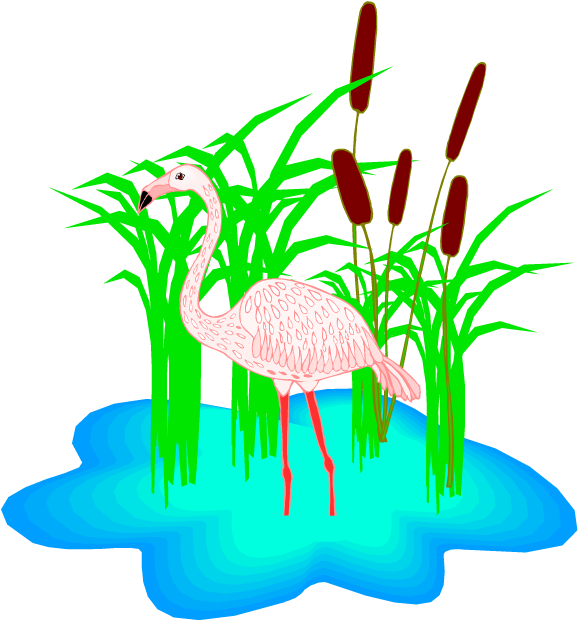 Free Flamingo Clipart - Flamingo Clipart (750x665)