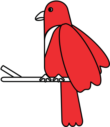 Exotic Natural Bird - Exotic Natural Bird (550x550)