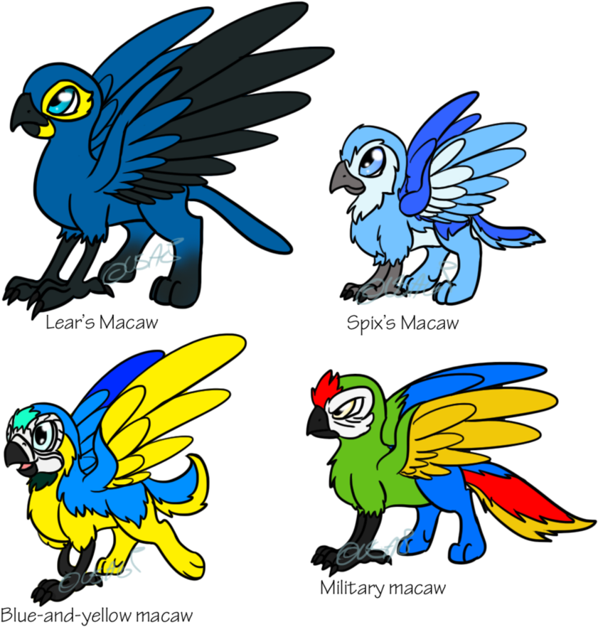 Parrot Griffins Adoptables By Usagi Zakura - Parrot (894x894)