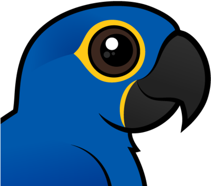 About The Hyacinth Macaw - Hyacinth Macaw (440x440)