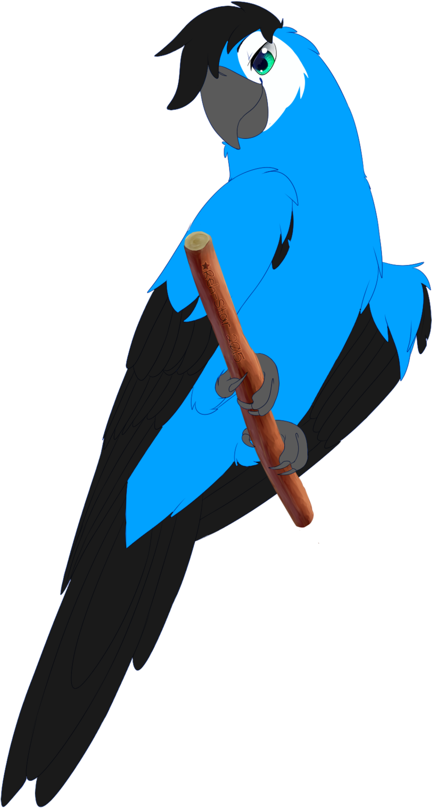Spix Macaw By Rehquq - Spix Macaw (900x1603)