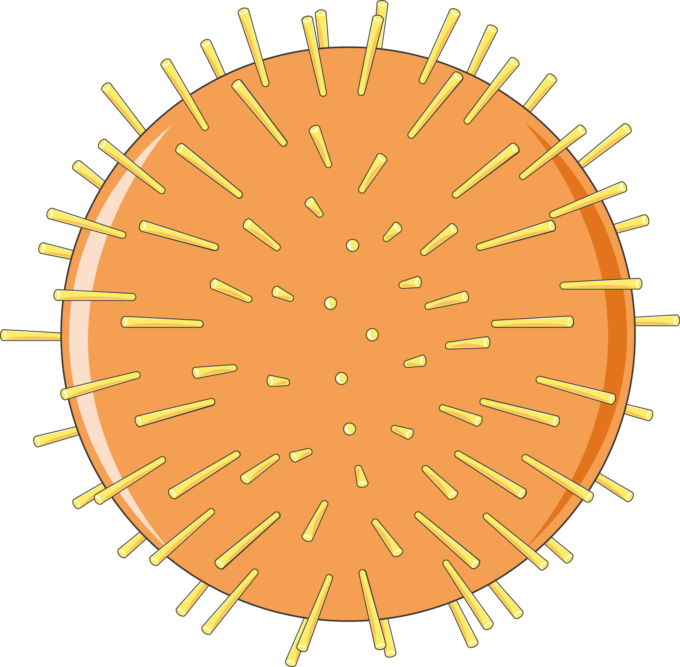 Herpes Virus - Cool Beyblades (680x667)