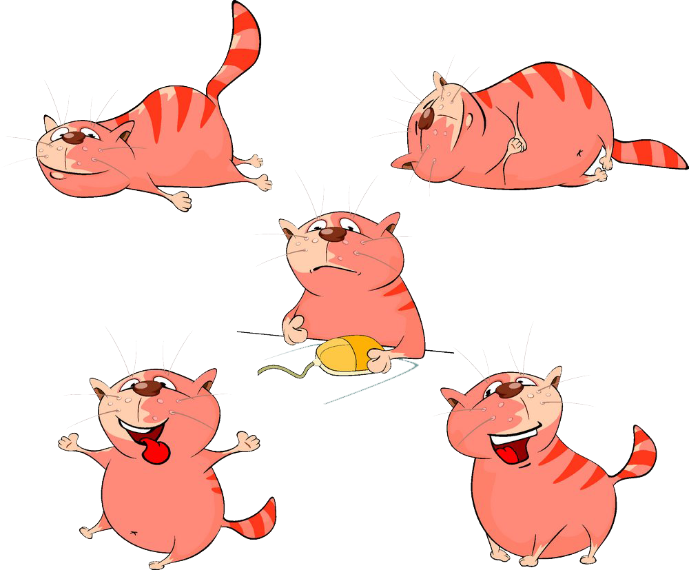 Cute Hamster Pictures - Cute Hamster Pictures (1000x827)