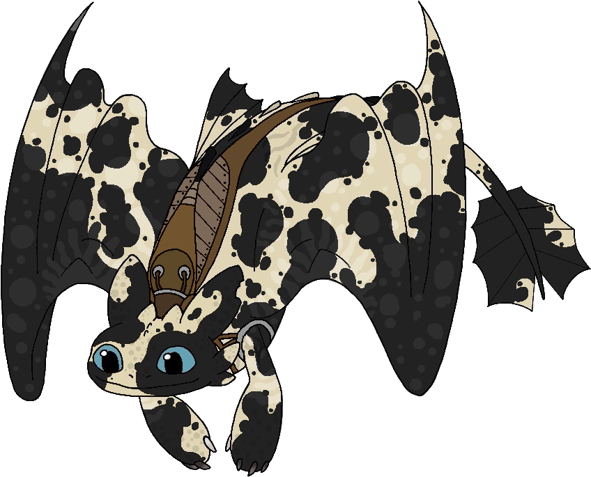 My Piebald Night Fury Oc Ayraile - Killer Whale (900x765)