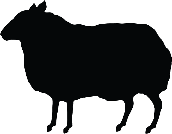 Https - //38 - Media - Tumblr - Inline N30gcctdws1s8tg17 - Night Fury Toothless Logo (564x440)