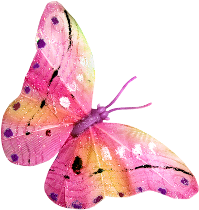 Butterfly Clip Art - Butterfly Clip Art (500x500)