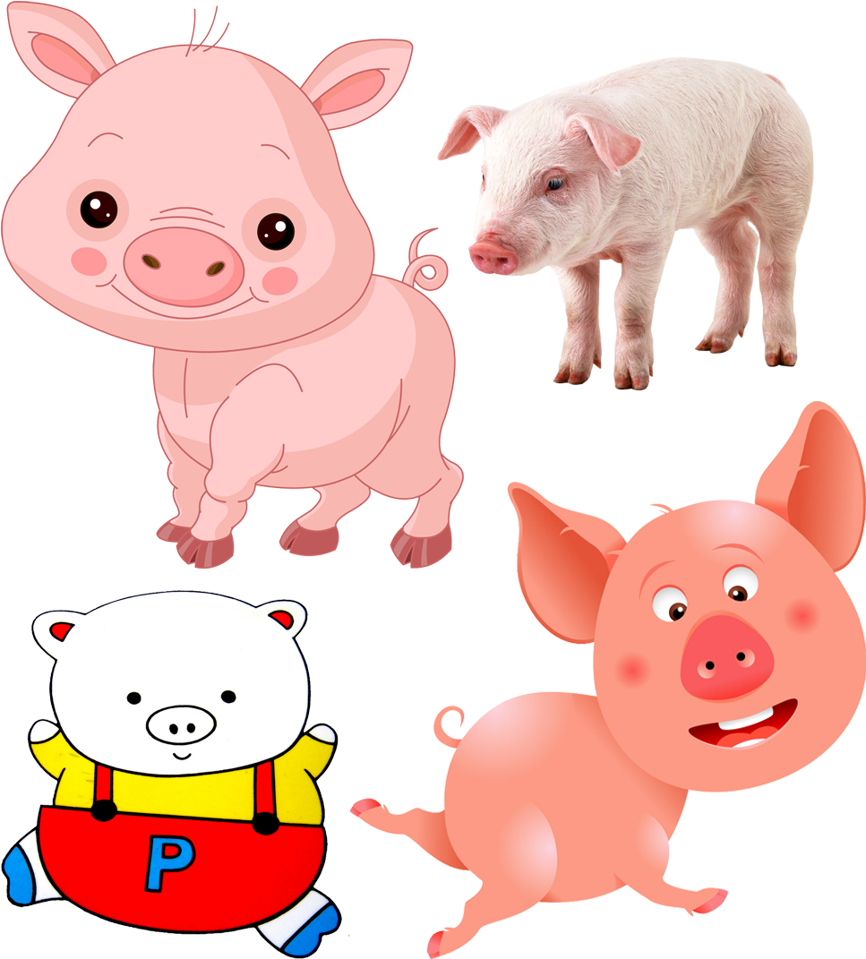 Domestic Pig Comics Drawing Clip Art - Domestic Pig Comics Drawing Clip Art (1111x1199)