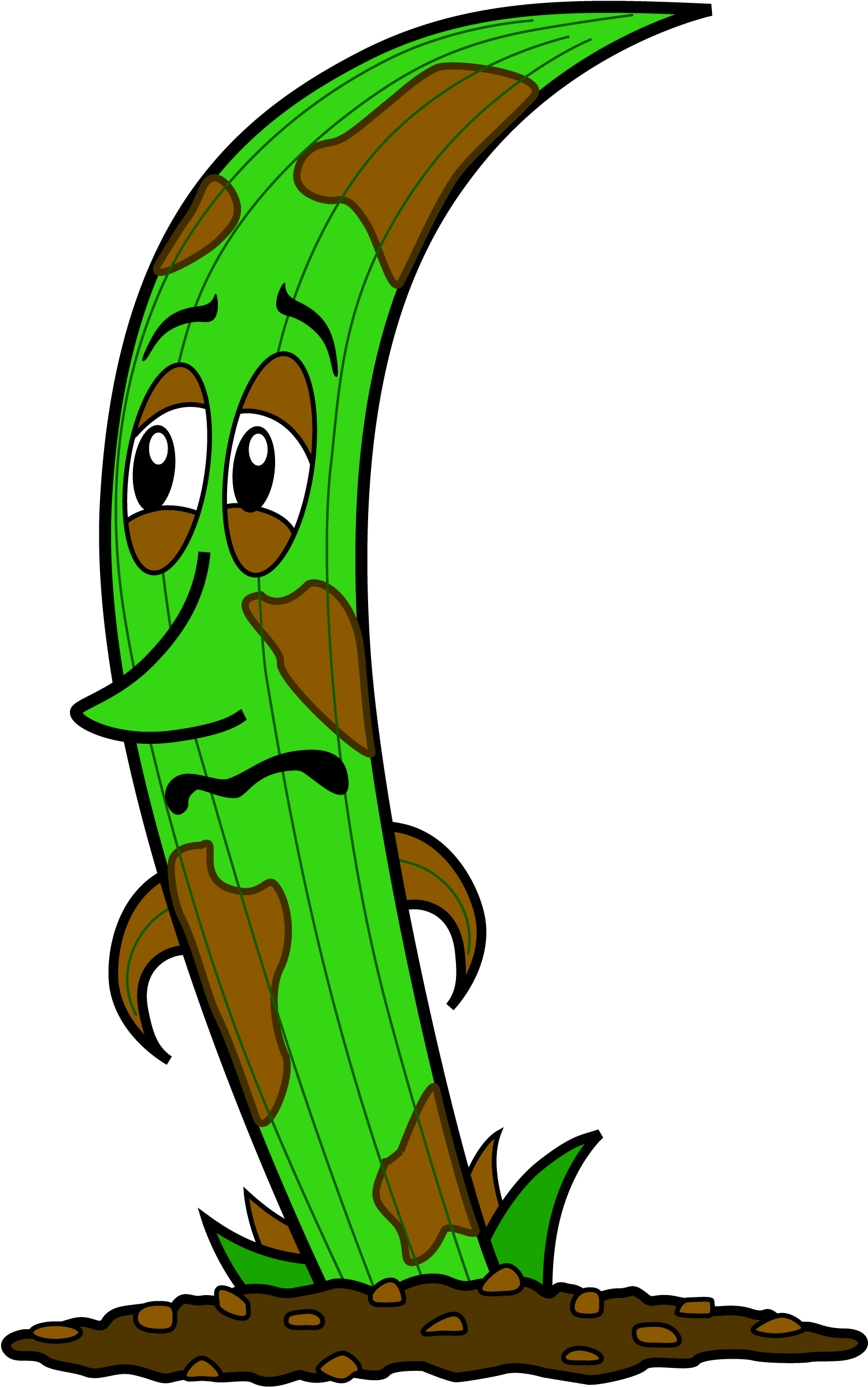 Fez With Brown Patch - Fez With Brown Patch (1580x2484)