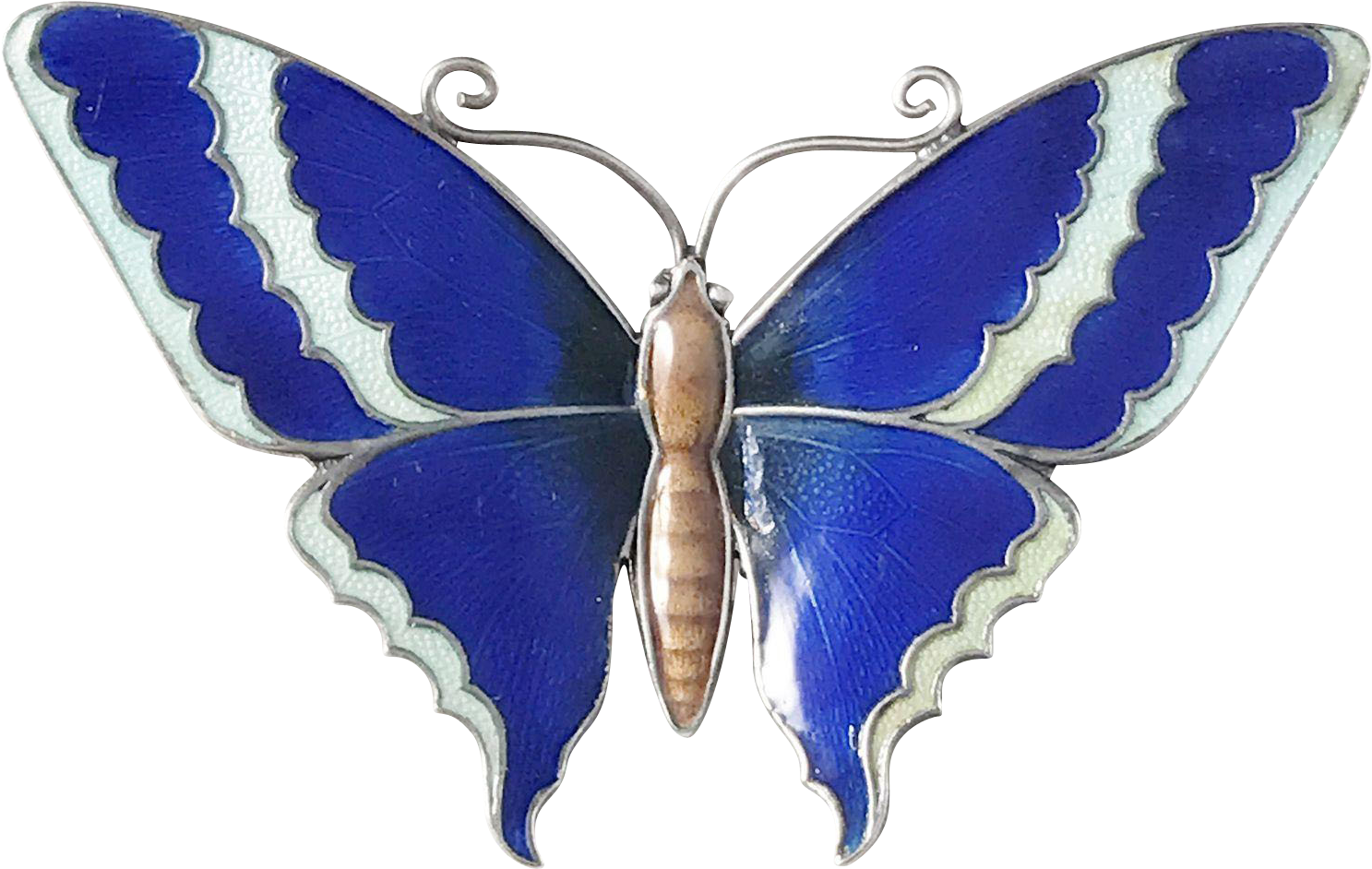 Rare Early 1900s Solid Silver Enamel Butterfly Brooch - Papilio Machaon (1486x1486)