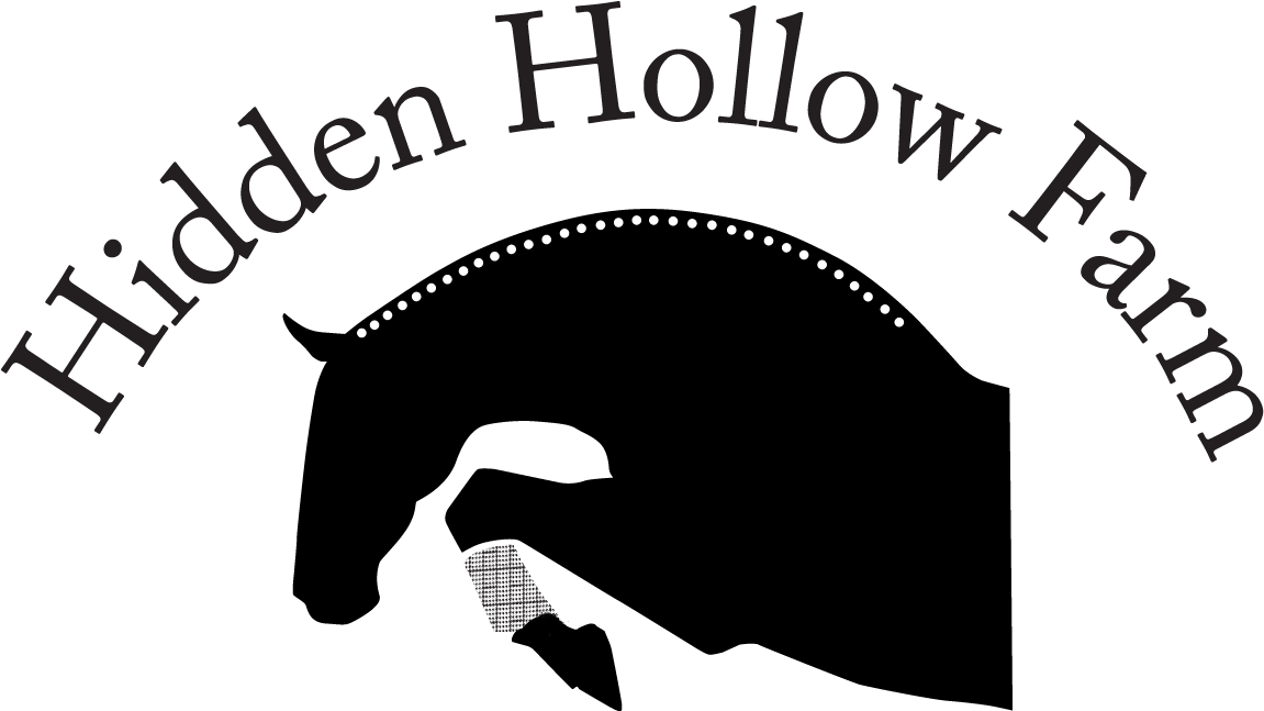 Equestrianism (1150x666)