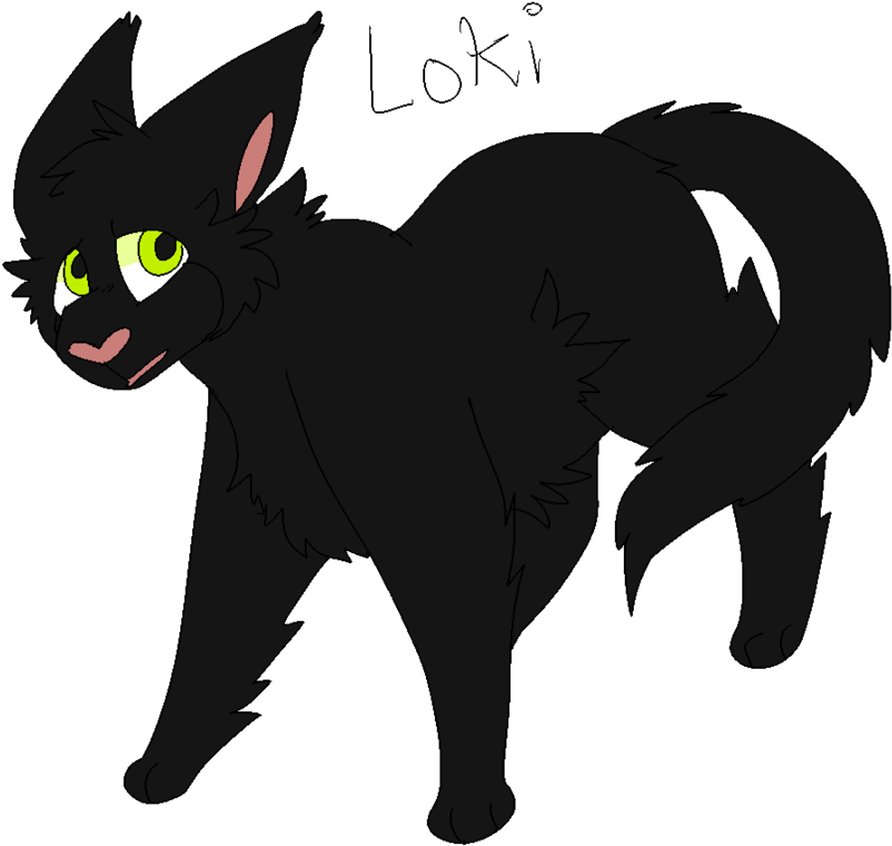 Loki By Nixght - Cartoon (894x894)