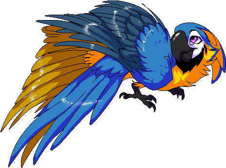 Another Arara By Rudyararauna - Macaw (500x500)