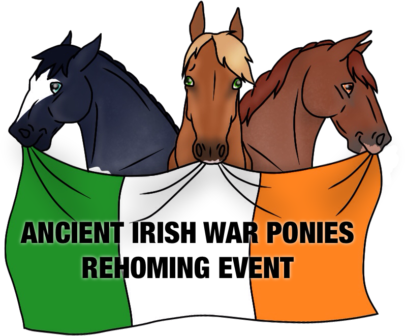 Ancient Irish War Ponies 'rehoming Event ' Update In - Irish Need Apply (900x672)