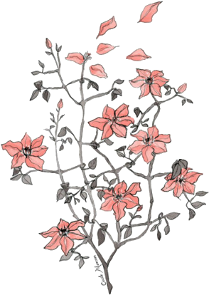 Tumblr Transparent Flower Drawing - Flower Drawings (500x500)