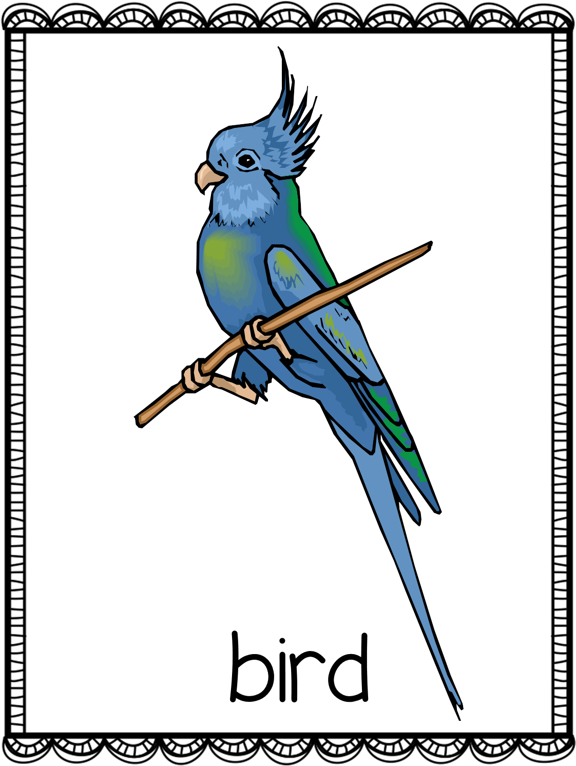 Do You Have A Pet - Blue Cockatiel Shower Curtain (1125x1544)