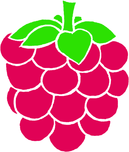 Art & Design Project - Raspberry Drawing Png (800x670)