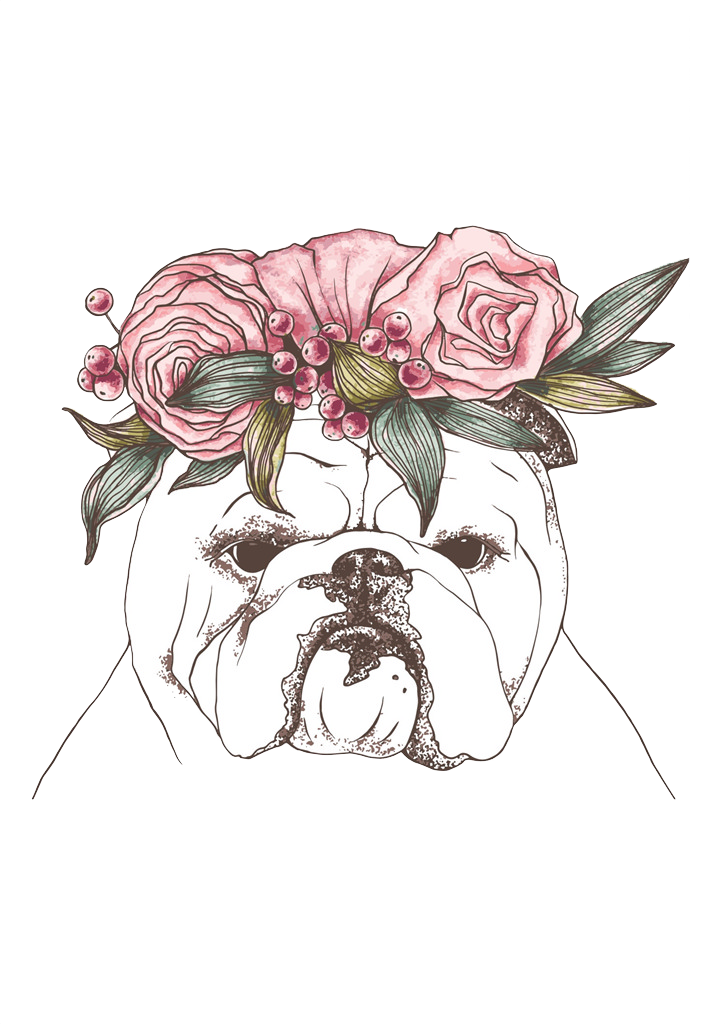 Bulldog Shar Pei Drawing Dog Breed Illustration - Bulldog Shar Pei Drawing Dog Breed Illustration (725x1024)