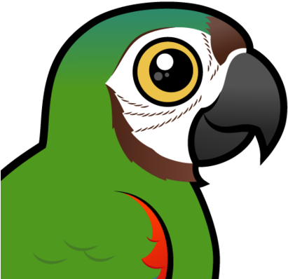 About The Chestnut-fronted Macaw - Blue Throated Macaw Cartoon Clip (440x440)