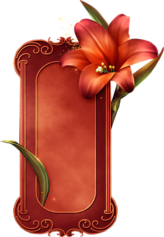 Marcos Y Fondos Decorativos - Paper (544x787)