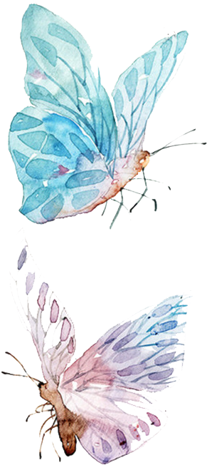Paper Watercolor Painting Drawing - Butterflies Watercolor Transparent (402x716)